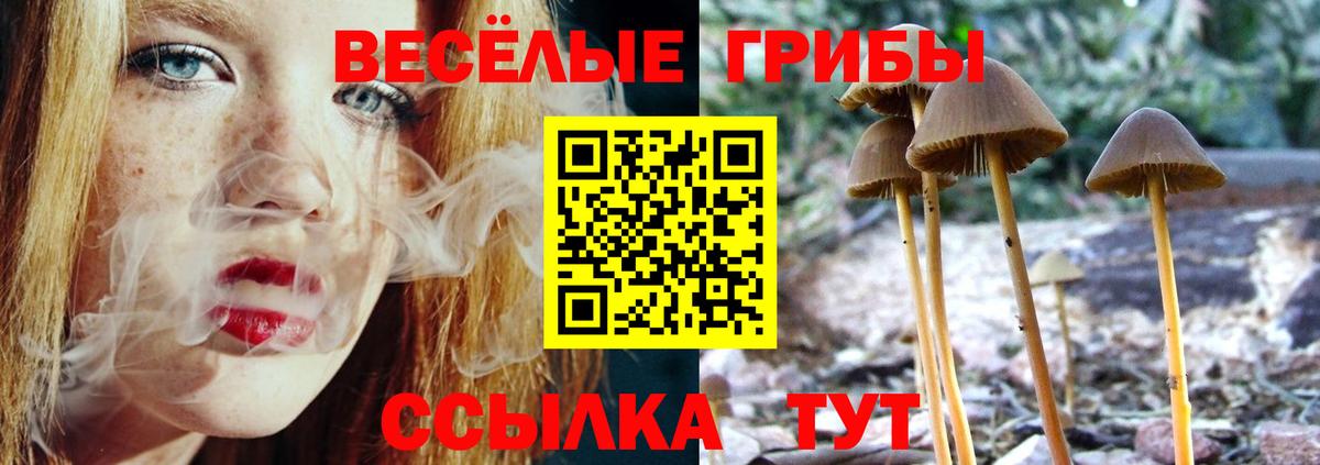 Галлюциногенные грибы мицелий Сосновоборск